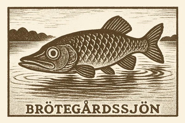 Gäddan i Brötegårdssjön